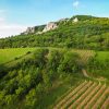 Summer in the Countryside